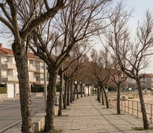 Free parking along the promenade